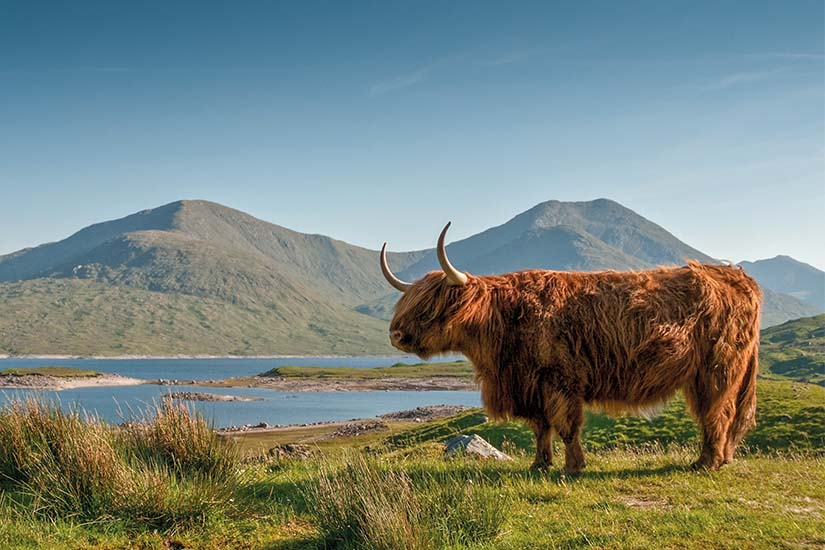 Les Highlands de l'Écosse - Partie 1