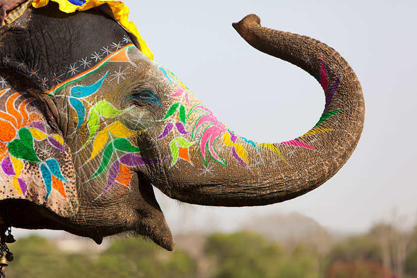(Image)-image-Inde-Decorees-elephant-17-it_71024737-09032017.jpg