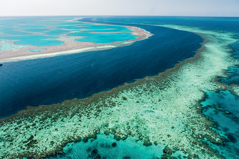 (Image) image Australie Queensland grande barriere de corail 30 it_461851027