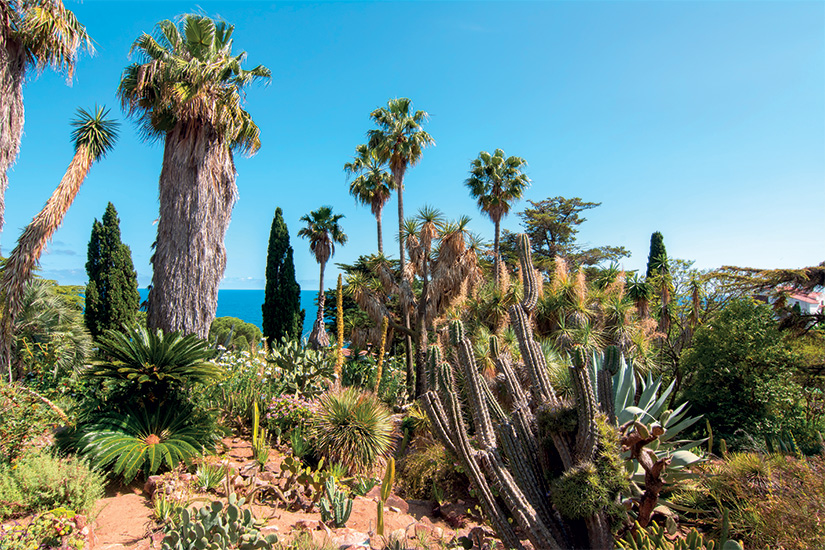 (Image)-image-Espagne-Blanes-Jardin-botanique-Marimurtra-11-as_212495945.jpg
