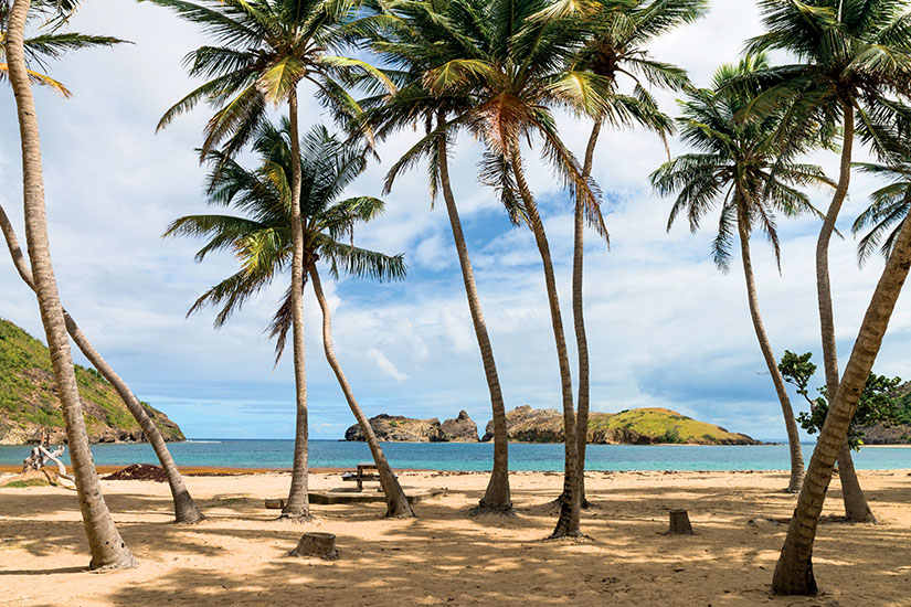 (Image)-image-Guadeloupe-Archipel-des-Saintes-Terre-de-haut-Plage-de-Pompierre-as_245799019.jpg