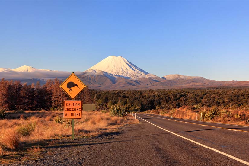 (Image)-image-Nouvelle-Zelande-Kiwi-et-volcans-du-parc-national-de-Tongariro-as_207861306.jpg