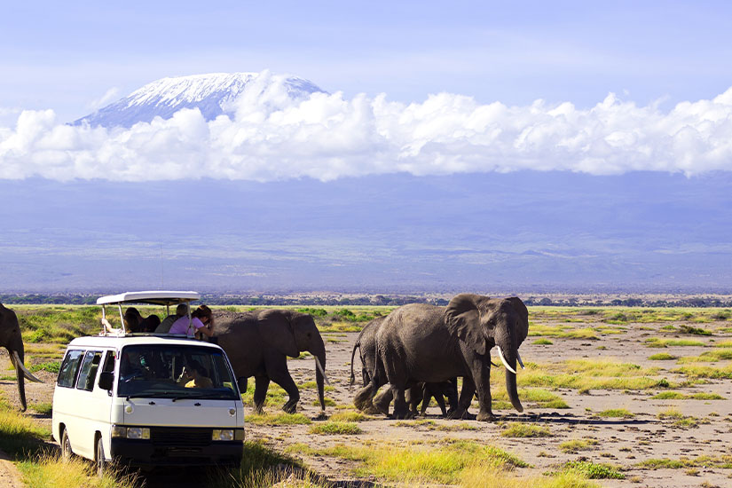 (Image) image Kenya Parc national d Amboseli Kilimandjaro safari it_155394918