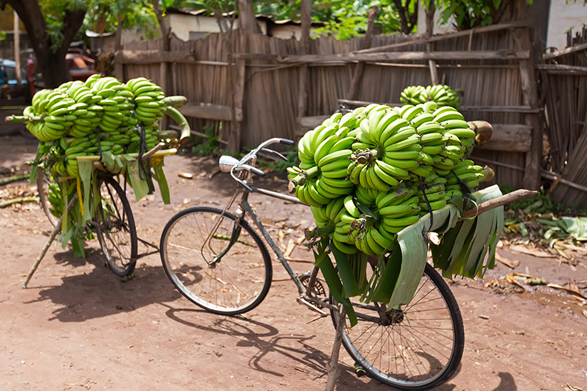 (Image) image Tanzanie Mto wa Mbu vente de bananes au marche du frais it_1084771000