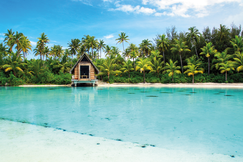 (Image) image Tahiti bora bora sarcelle palmier 66 as_73507690
