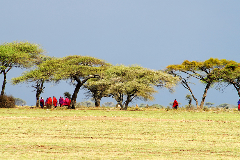 (Image)-image-Tanzanie-guerriers-Masai-it_157188401.jpg