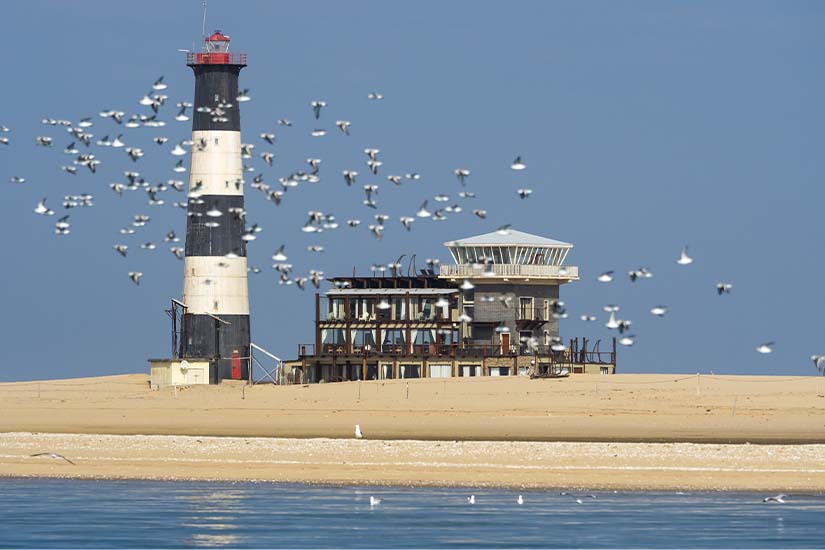 (Image) image Namibie Walvis Bay Pelican Point as_108425459