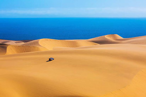 (Vignette) vignette Namibie desert du Namib as_114337585