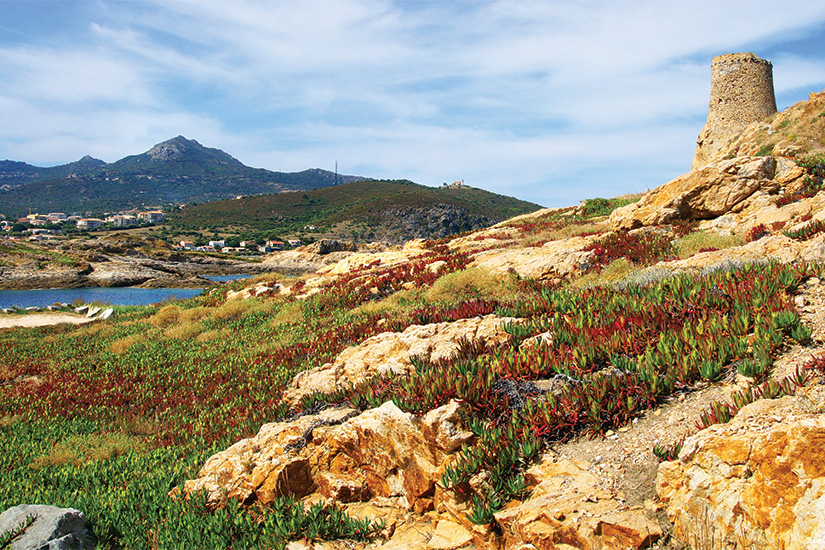 (Image) image France Corse Ile Rousse 69 as_32833766