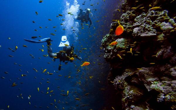 De la Vallée du Nil aux sables d'Hurghada
