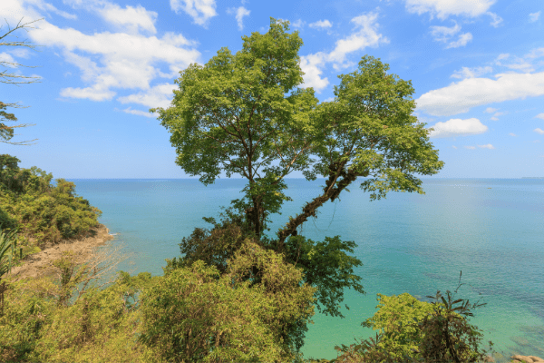 Photo Séjour La boutique des vacances