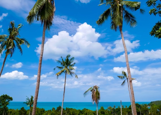 Photo Séjour La boutique des vacances