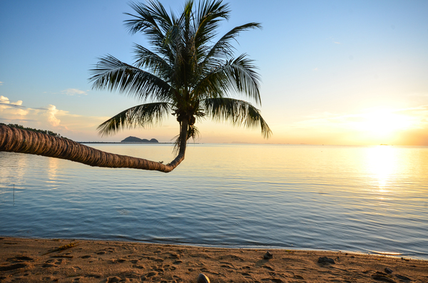 Photo Séjour La boutique des vacances