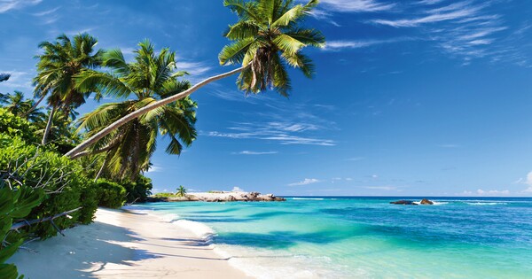 Photo Séjour La boutique des vacances