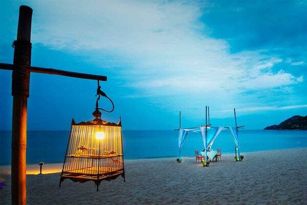 Photo S&eacute;jour Versailles Voyages