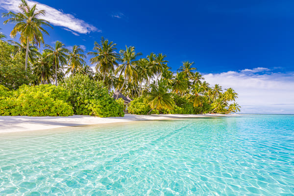 Photo Séjour La boutique des vacances
