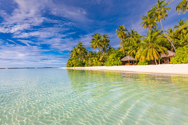 Photo Séjour La boutique des vacances