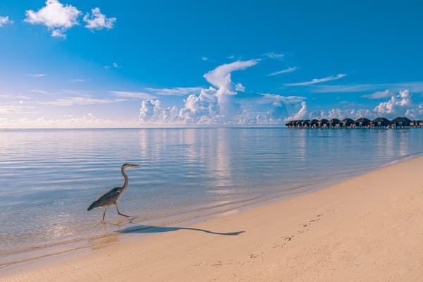 Photo Séjour La boutique des vacances