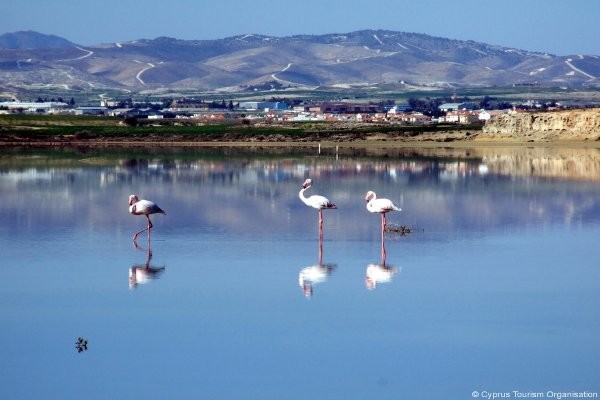 Circuit Grand Tour De Chypre **** - Photo 10