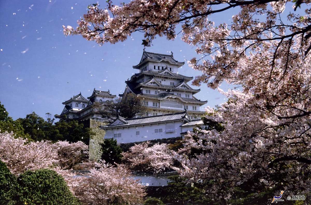 Circuit Grande découverte du Japon