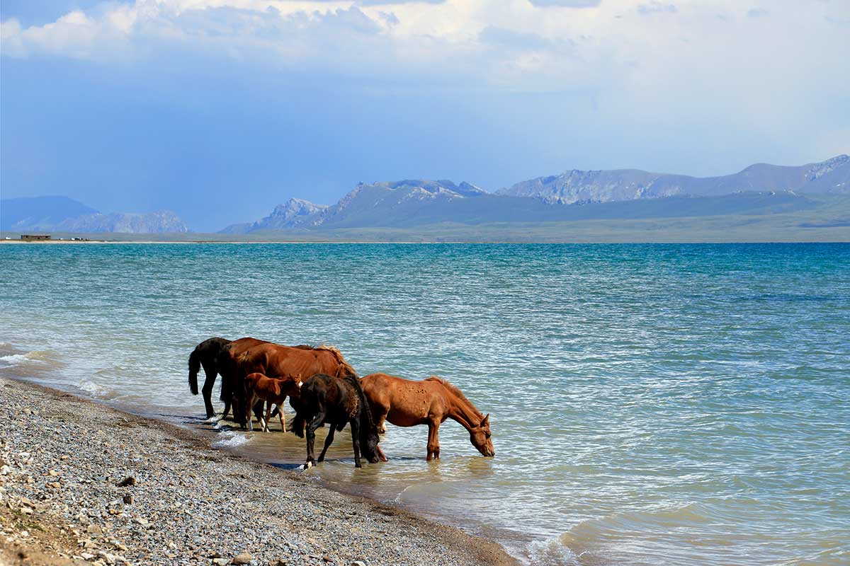Photo Circuit Royer Voyages