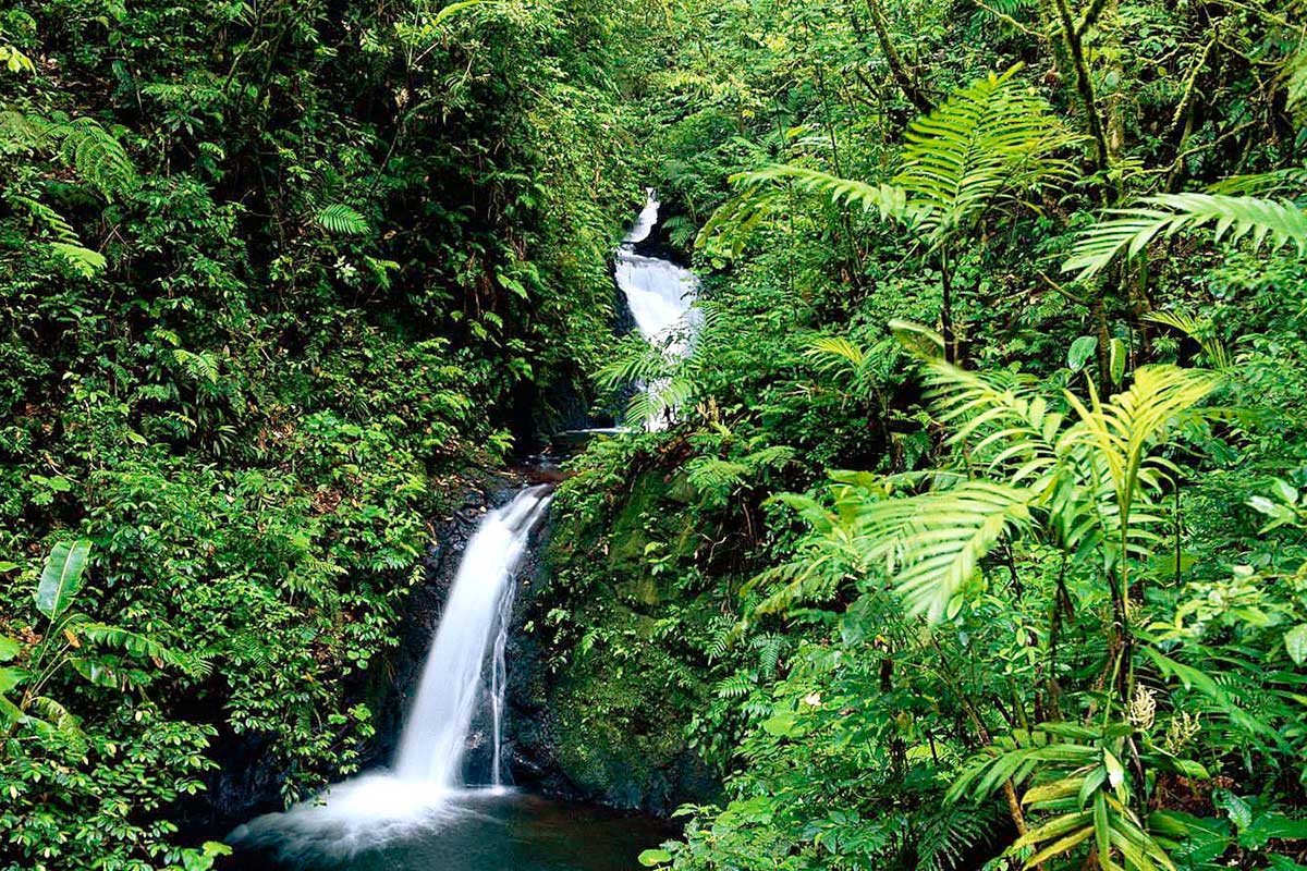 Circuit Merveilles du Costa Rica du Nord au Sud + Extension dans les Caraïbes et au Panama