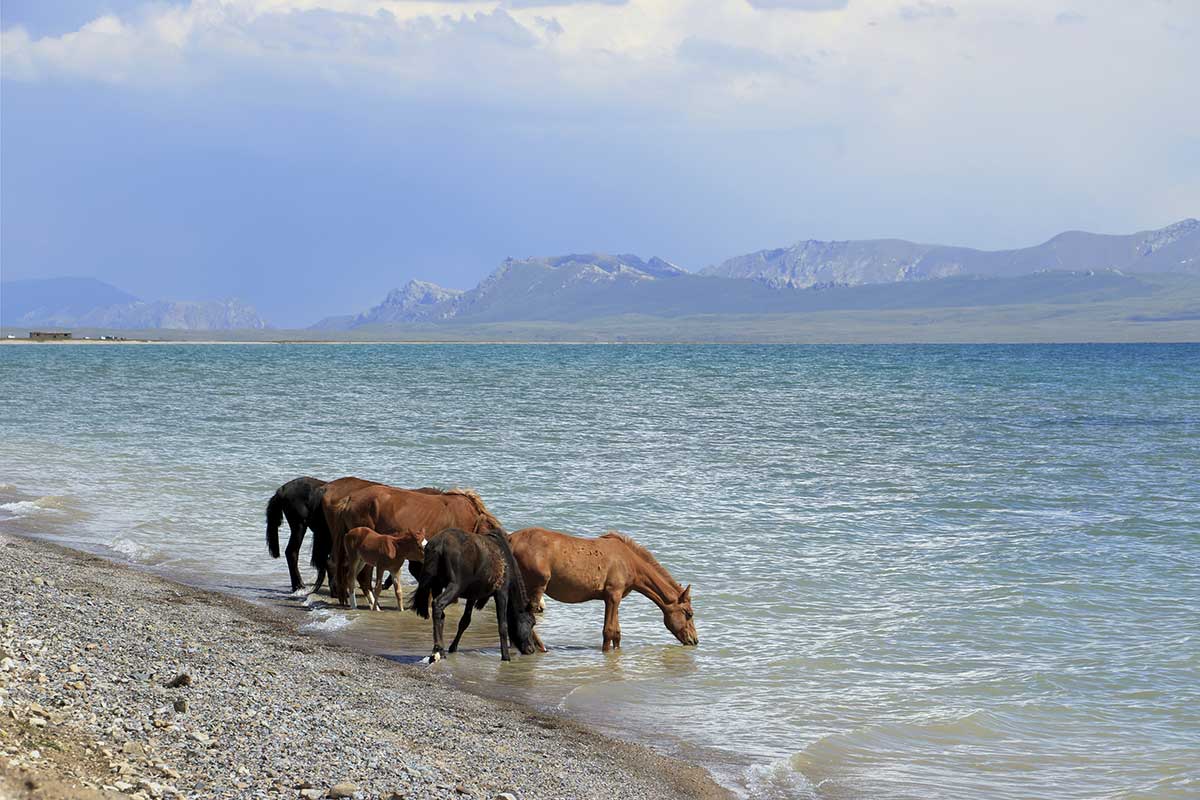 Photo Circuit Royer Voyages