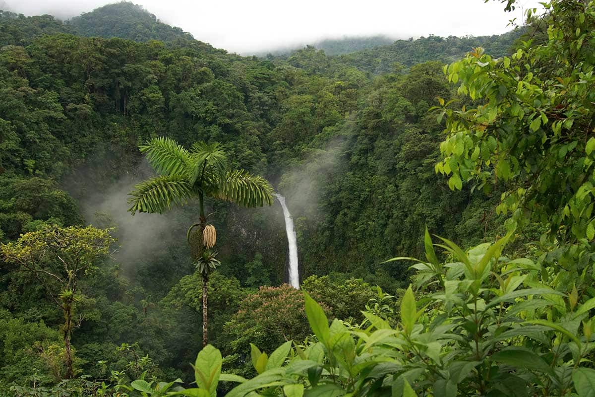 Road Trip Zénitude au Costa Rica